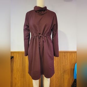 Seraphine Maternity and Nursing Dress